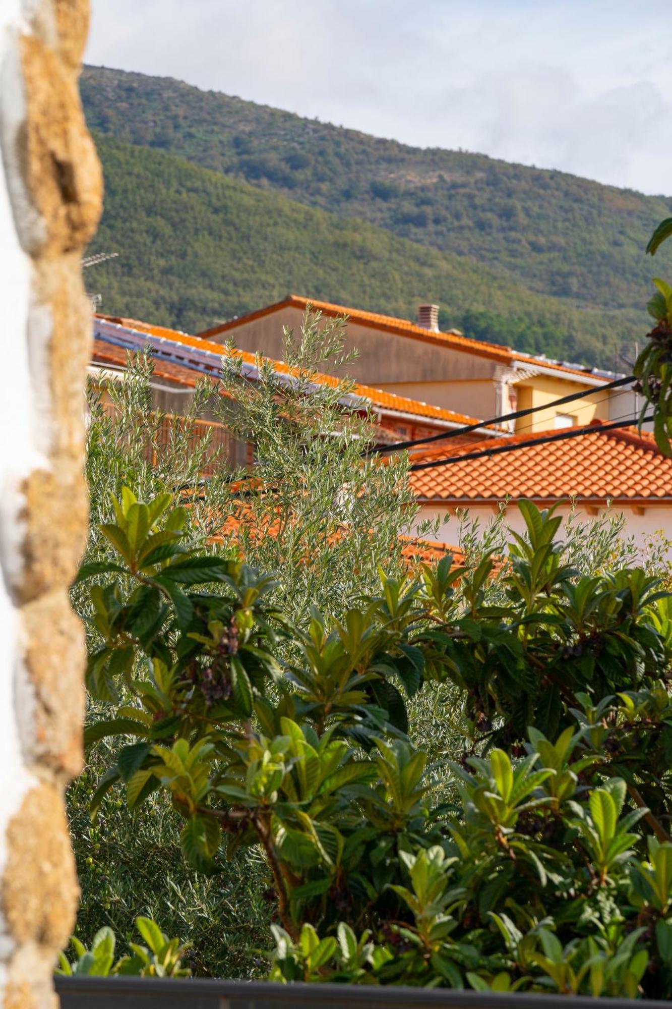 At San Miguel O Lägenhet Jarandilla de la Vera Exteriör bild